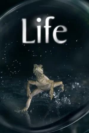 Life